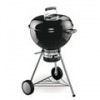 Barbeque da giardino
